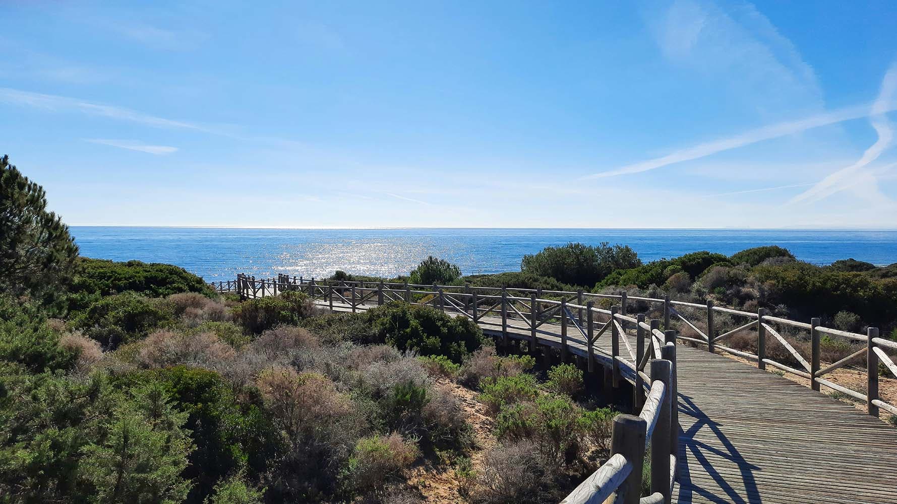 Coastal walk with path